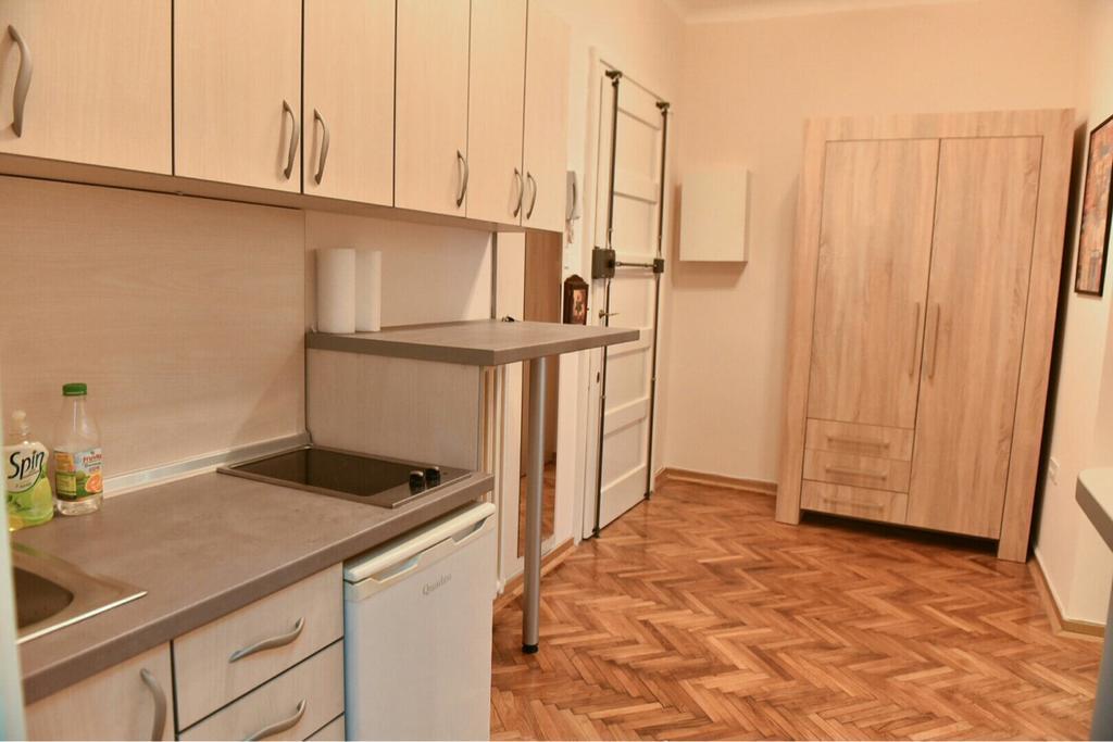 Bojan Central Apartment Novi Sad Esterno foto